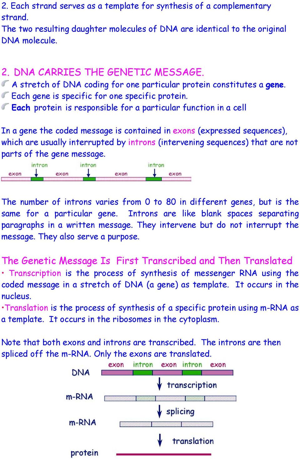 Each protein is responsible for a particular function in a cell In a gene the coded message is contained in exons (expressed sequences), which are usually interrupted by introns (intervening