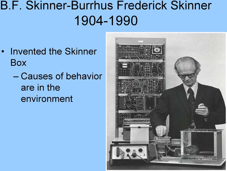 Invented the Skinner Box