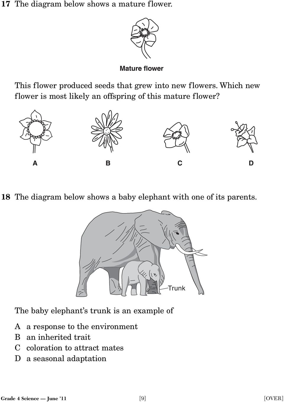 18 The diagram below shows a baby elephant with one of its parents.