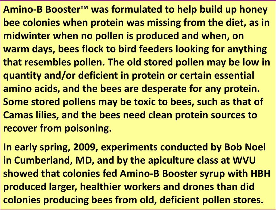 The old stored pollen may be low in quantity and/or deficient in protein or certain essential amino acids, and the bees are desperate for any protein.