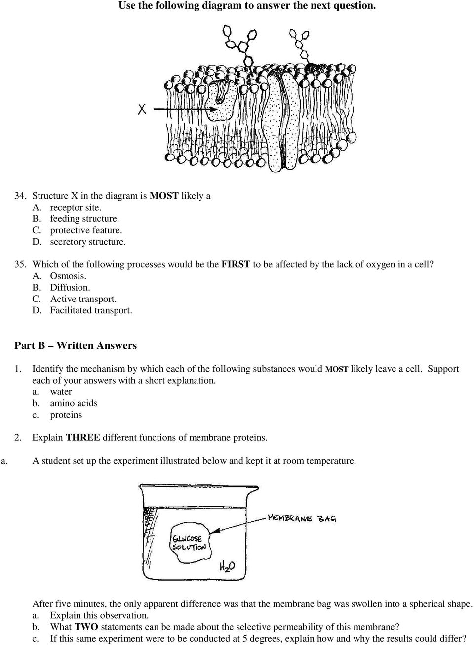 Membrane Structure and Function - PDF Free Download Within Membrane Structure And Function Worksheet