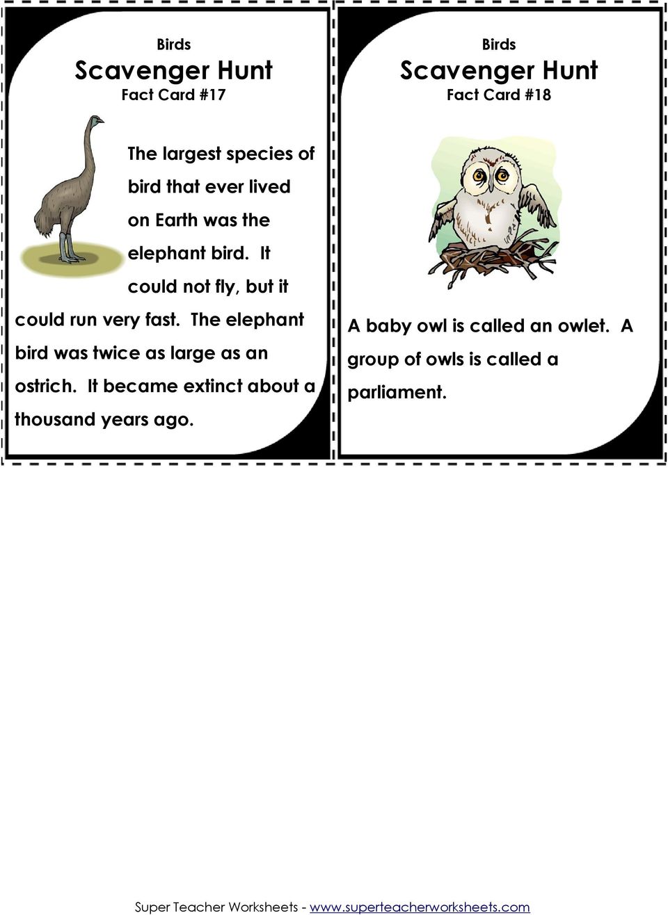 The elephant bird was twice as large as an ostrich.