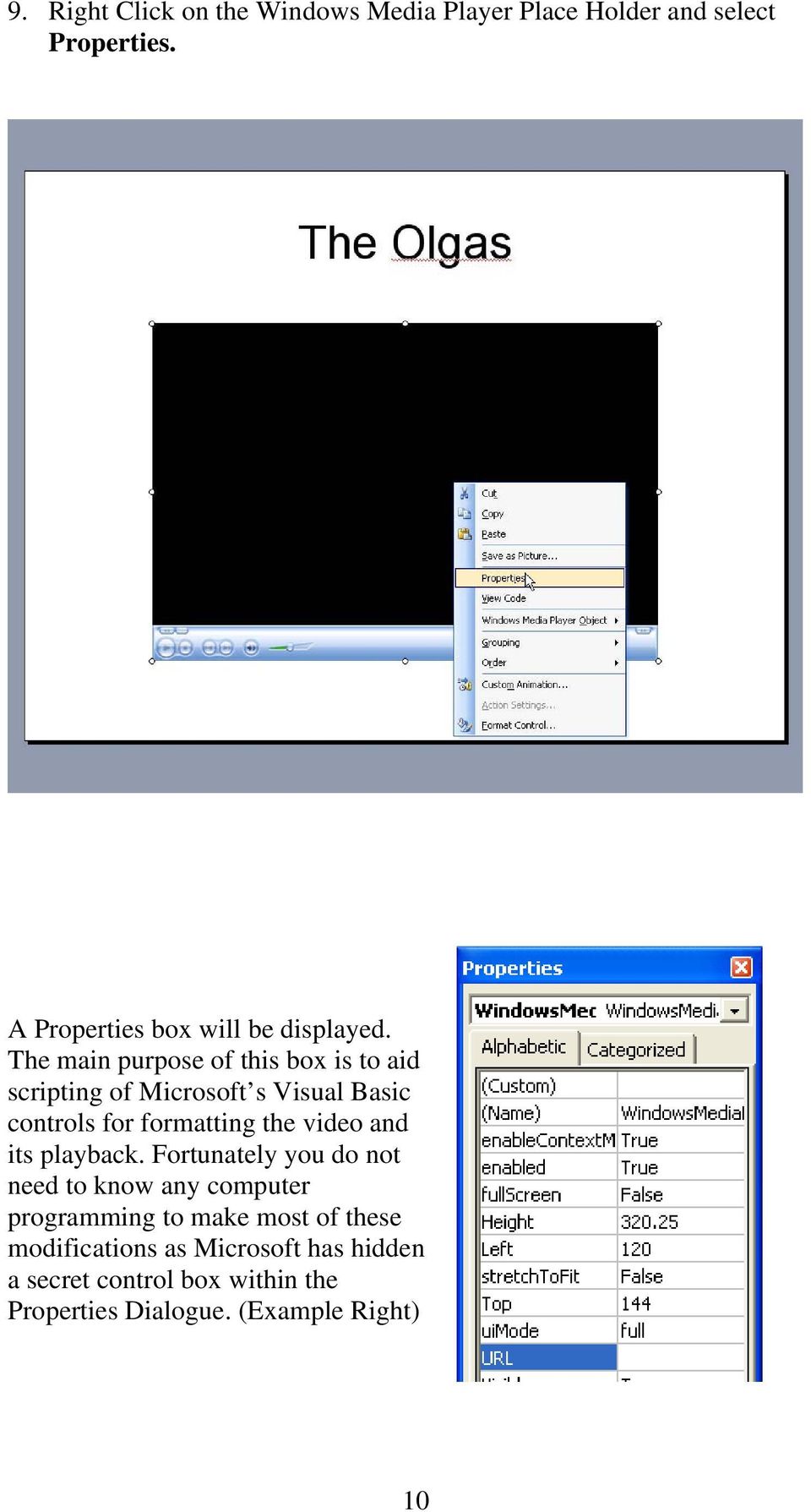 The main purpose of this box is to aid scripting of Microsoft s Visual Basic controls for formatting the