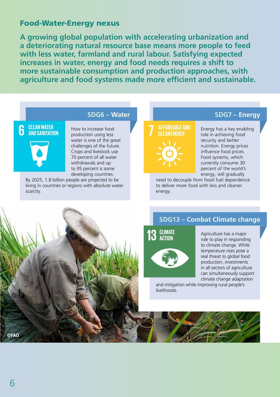 sustainable. SDG6 Water How to increase food production using less water is one of the great challenges of the future.