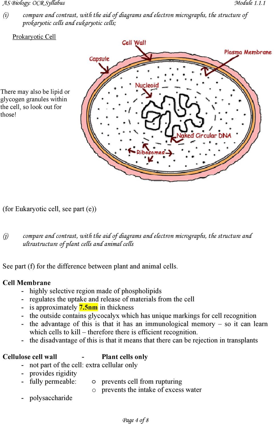 (for Eukaryotic cell, see part (e)) (j) compare and contrast, with the aid of diagrams and electron micrographs, the structure and ultrastructure of plant cells and animal cells See part (f) for the