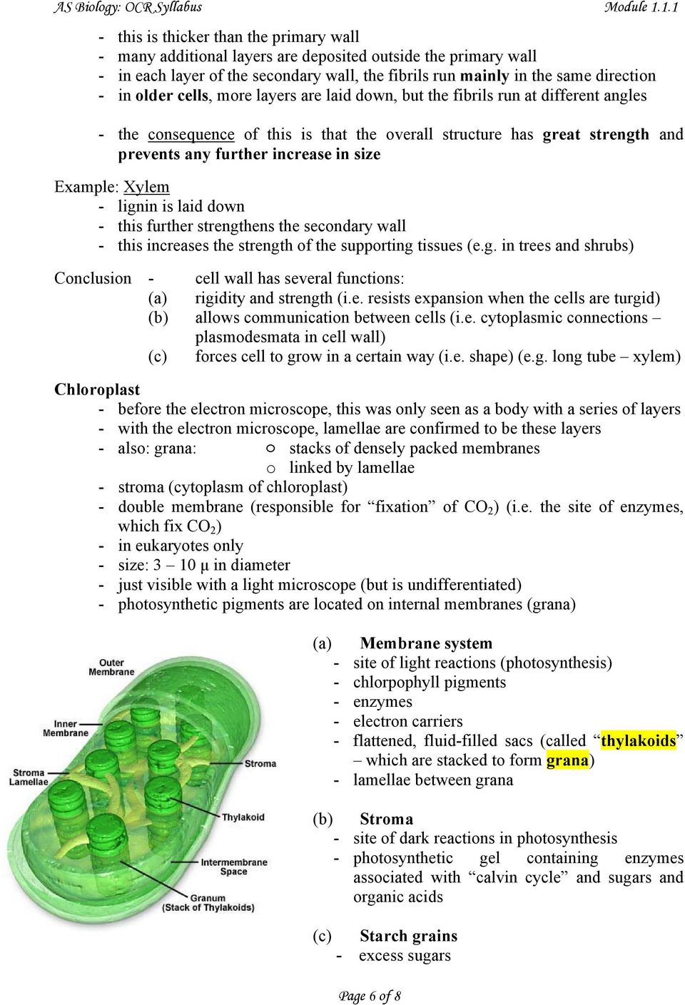 Xylem - lignin is laid down - this further strengthens the secondary wall - this increases the strength of the supporting tissues (e.g. in trees and shrubs) Conclusion - cell wall has several functions: (a) rigidity and strength (i.