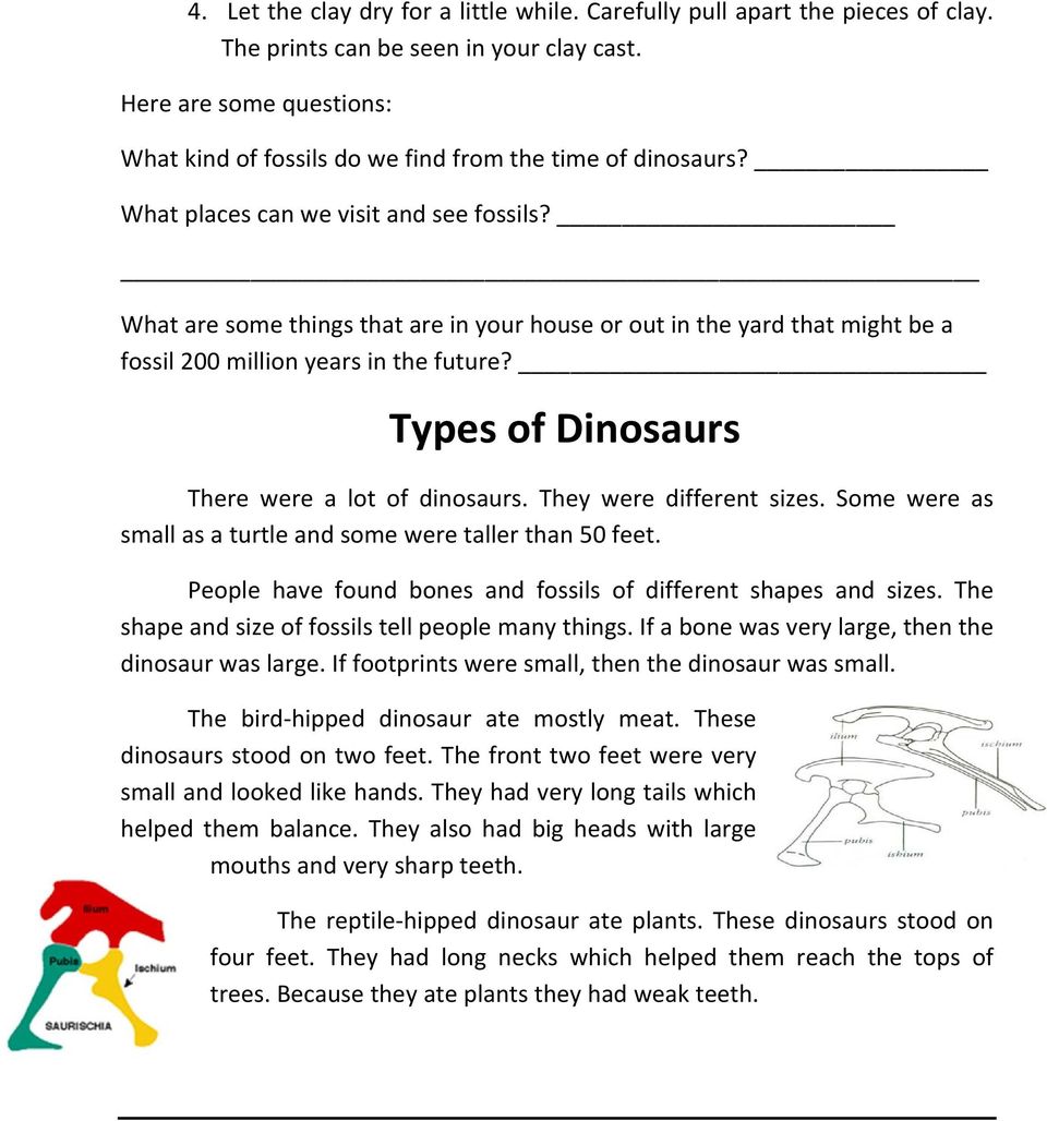 What are some things that are in your house or out in the yard that might be a fossil 200 million years in the future? Types of Dinosaurs There were a lot of dinosaurs. They were different sizes.