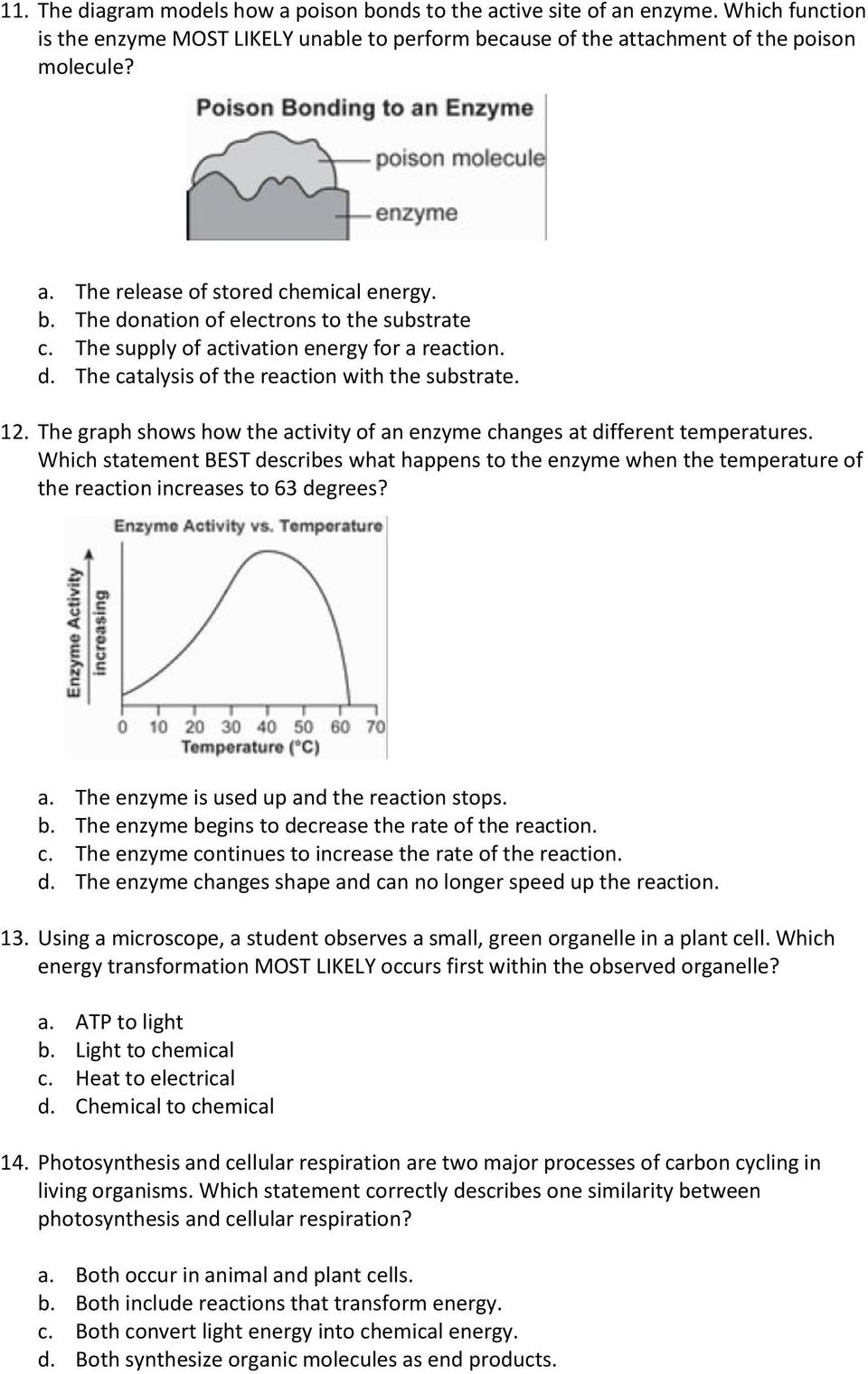 The graph shows how the activity of an enzyme changes at different temperatures. Which statement BEST describes what happens to the enzyme when the temperature of the reaction increases to 63 degrees?