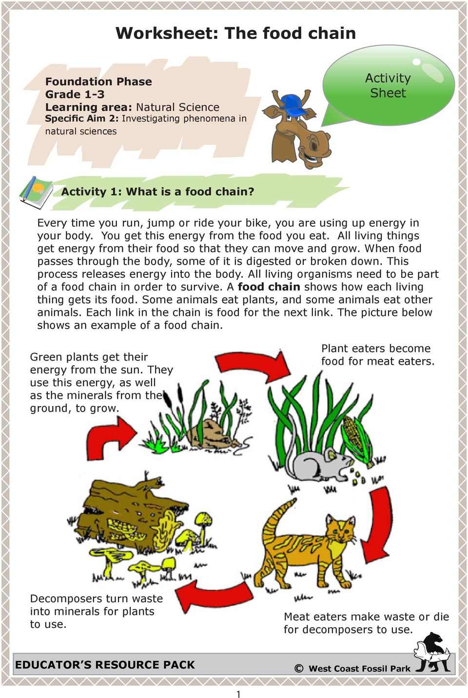 Worksheet: The food chain - PDF Free Download
