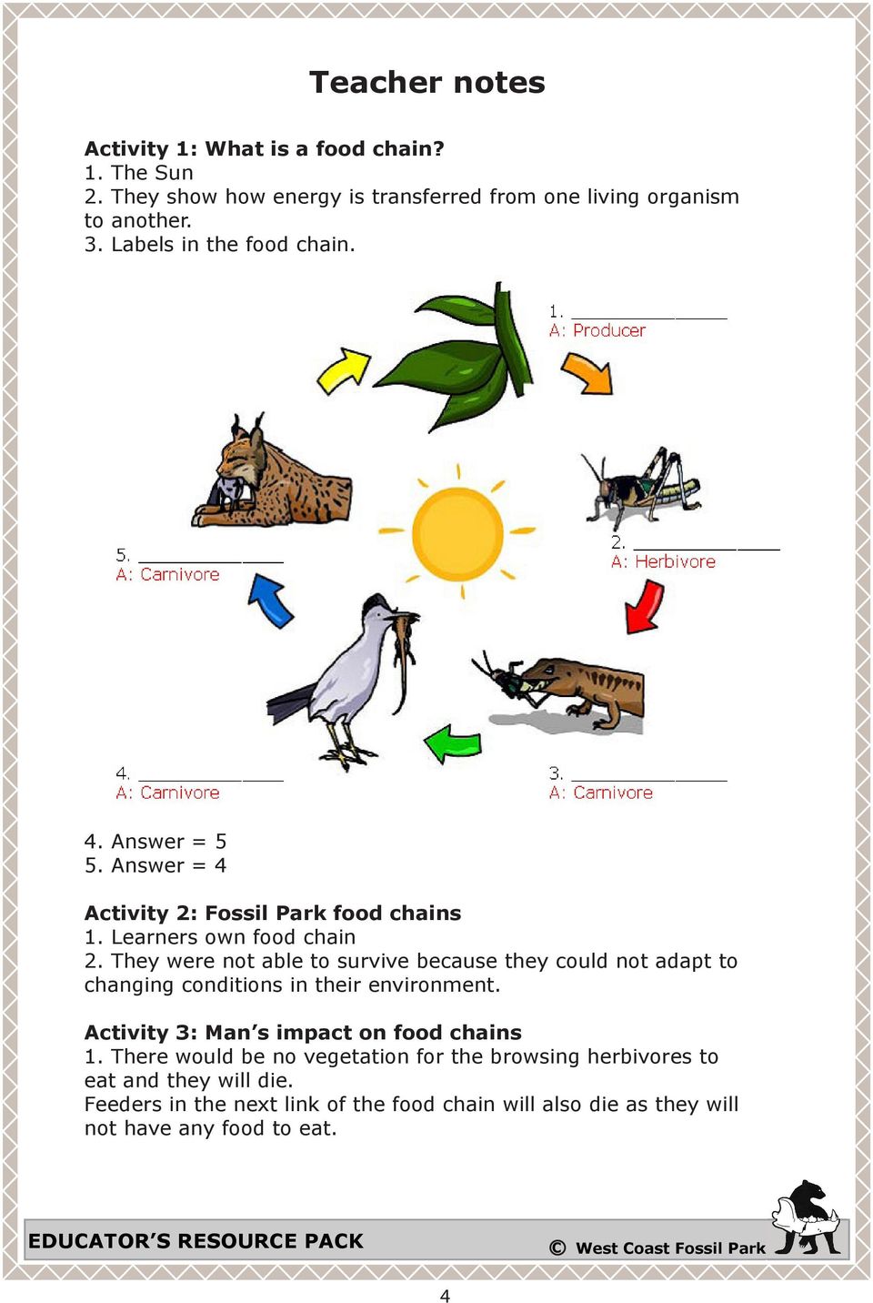 They were not able to survive because they could not adapt to changing conditions in their environment. Activity 3: Man s impact on food chains 1.