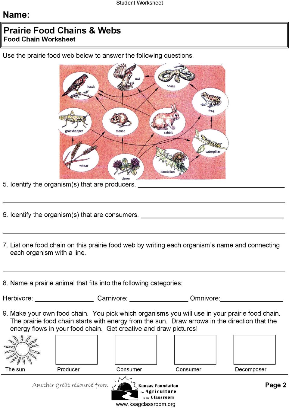 Prairie Food Chains & Webs Producers, Consumers & Decomposers Regarding Food Chain Worksheet Answers