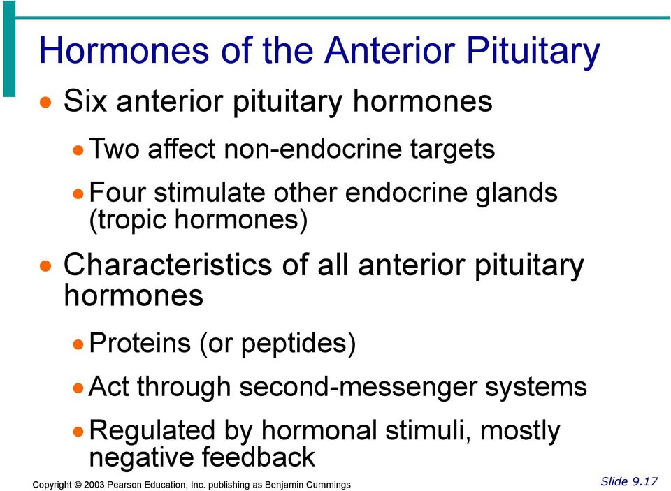 Characteristics of all anterior pituitary hormones Proteins (or peptides) Act