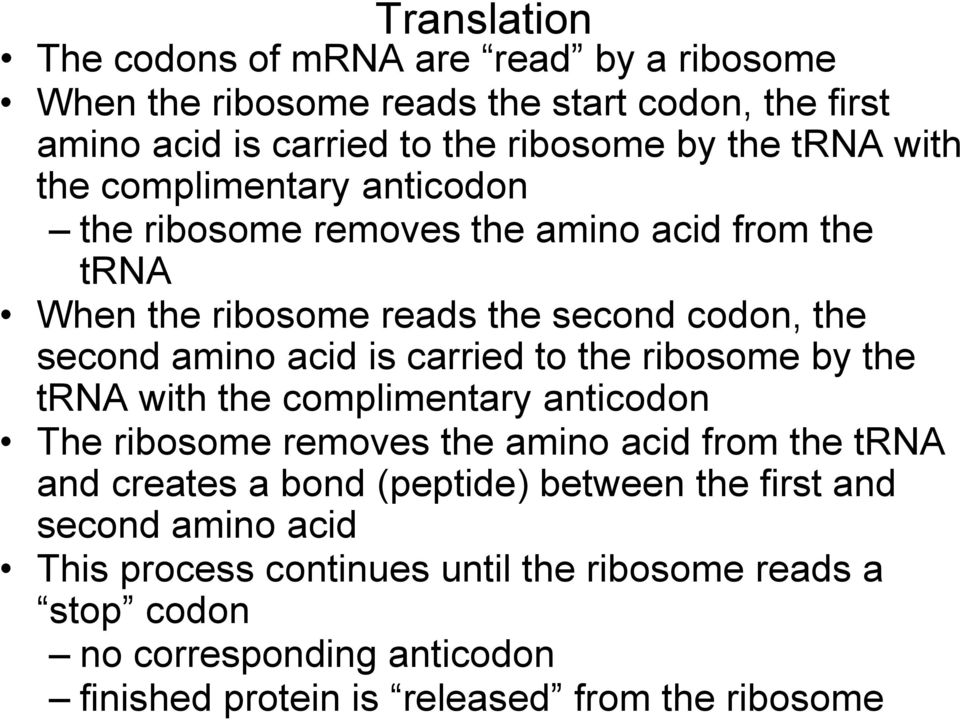 carried to the ribosome by the trna with the complimentary anticodon The ribosome removes the amino acid from the trna and creates a bond (peptide) between