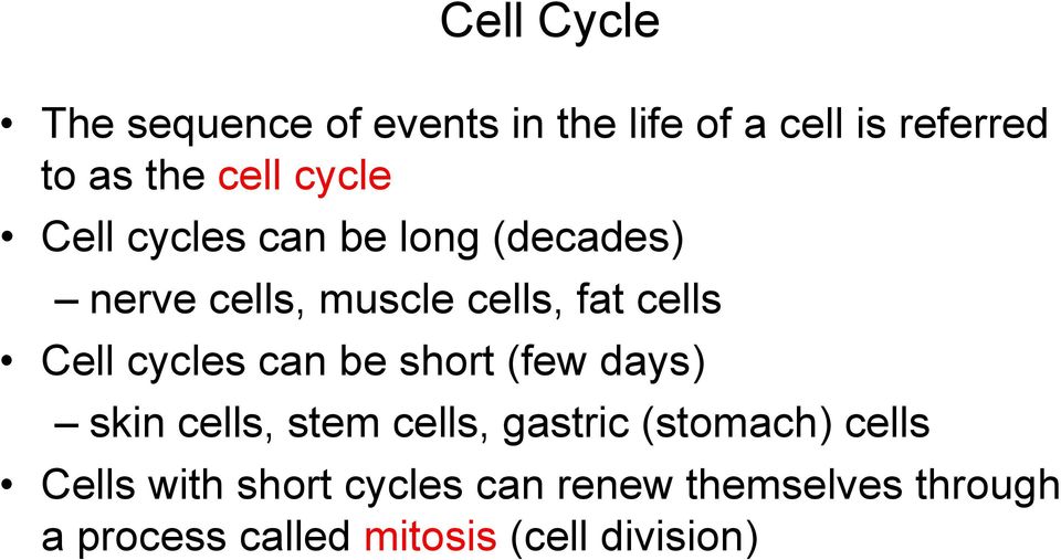 cycles can be short (few days) skin cells, stem cells, gastric (stomach) cells Cells