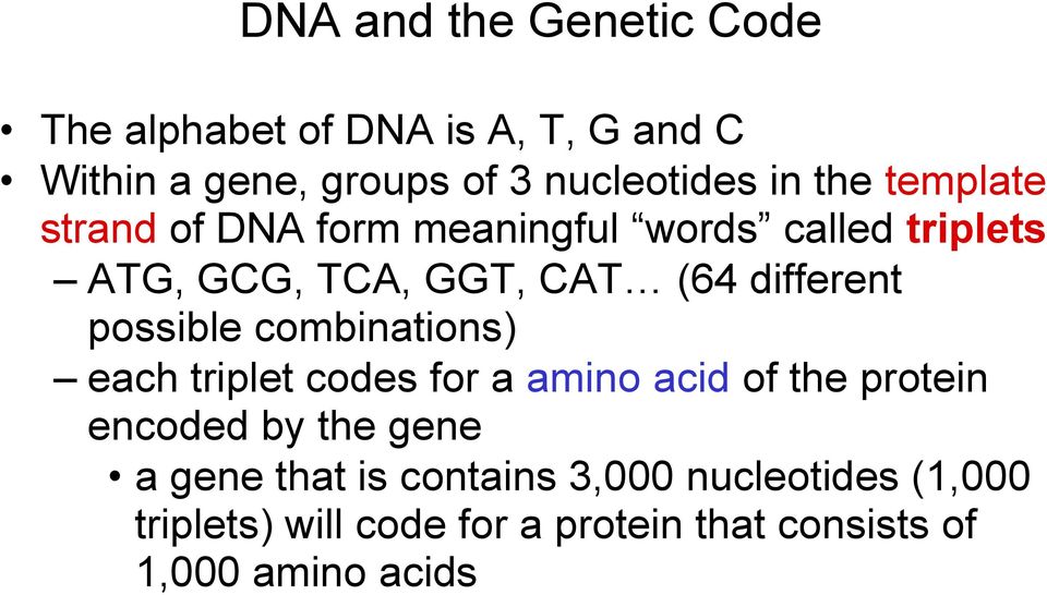 possible combinations) each triplet codes for a amino acid of the protein encoded by the gene a gene
