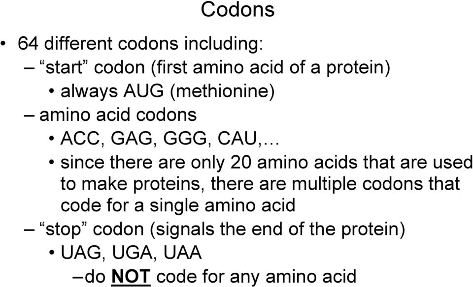acids that are used to make proteins, there are multiple codons that code for a single