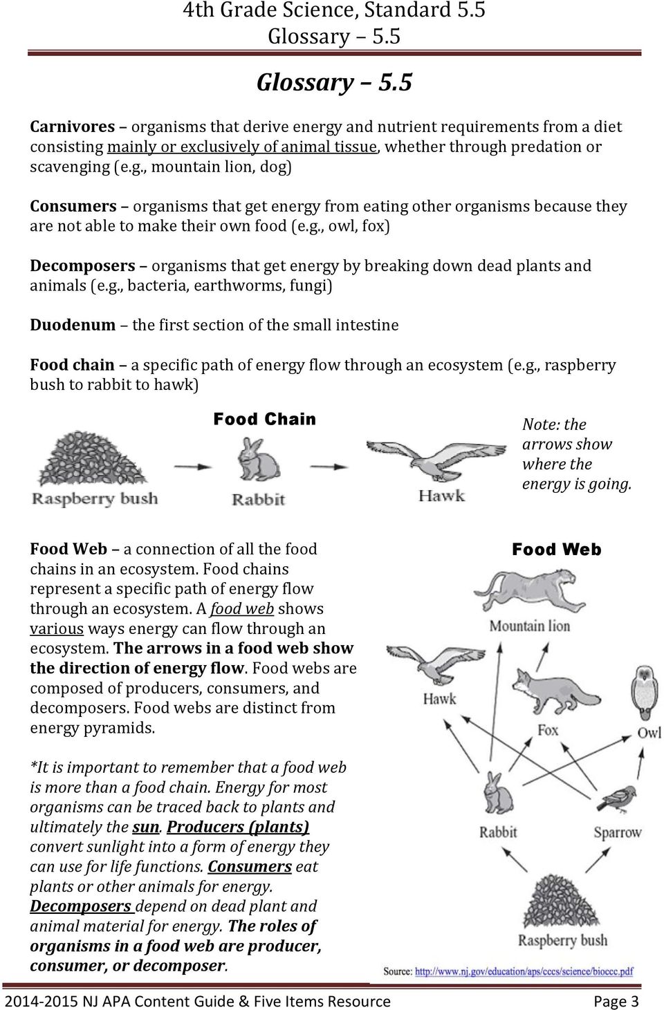 g., raspberry bush to rabbit to hawk) Food Chain Note: the arrows show where the energy is going. Food Web a connection of all the food chains in an ecosystem.