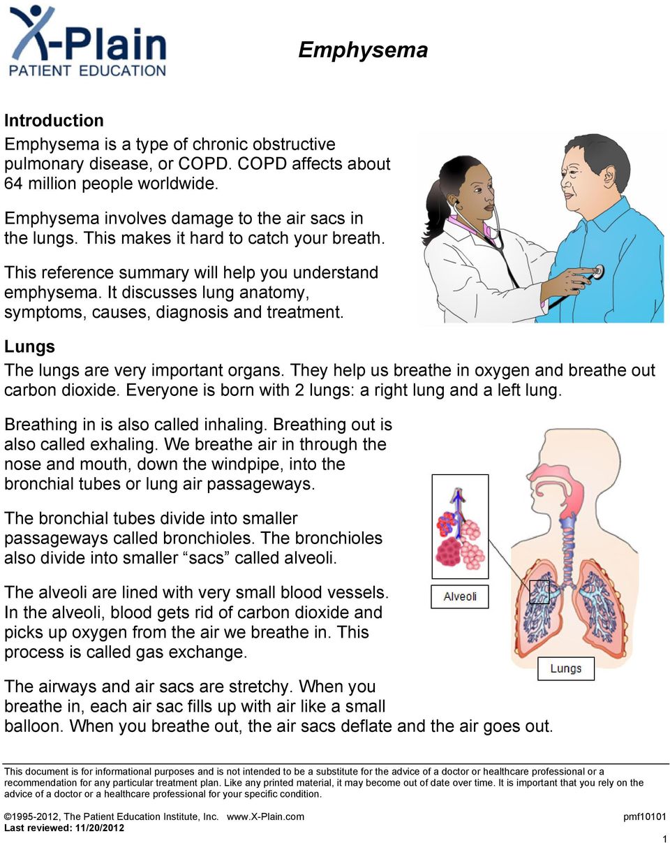 Lungs The lungs are very important organs. They help us breathe in oxygen and breathe out carbon dioxide. Everyone is born with 2 lungs: a right lung and a left lung.