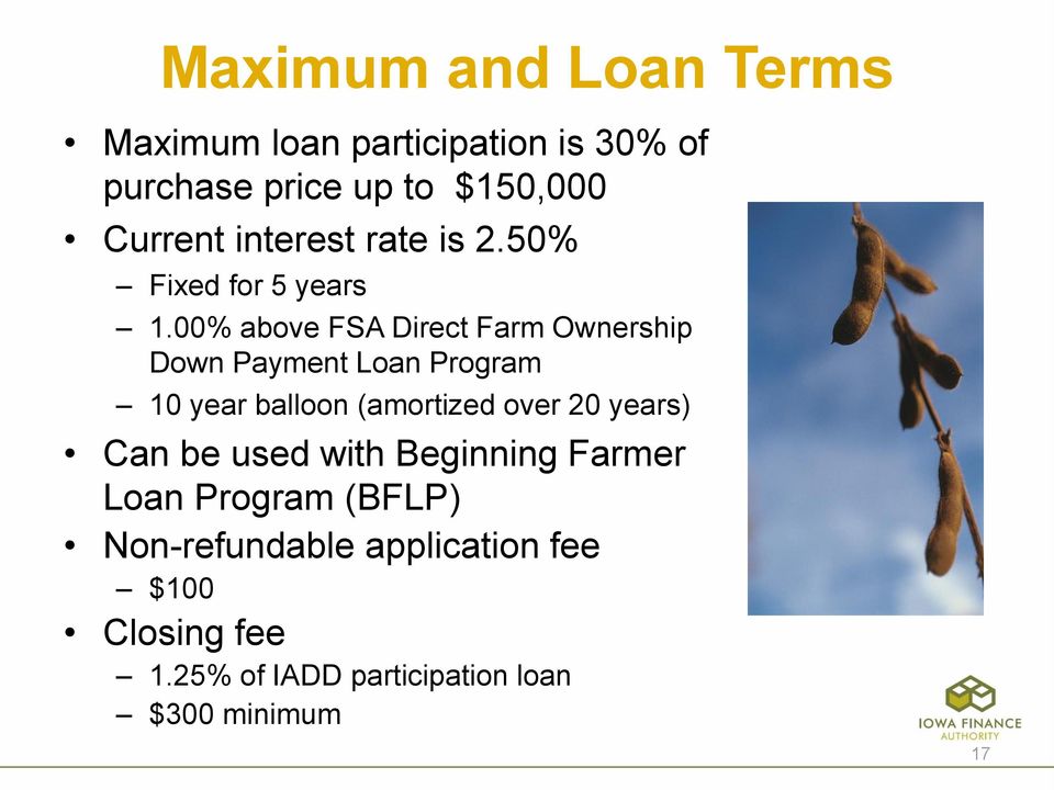 00% above FSA Direct Farm Ownership Down Payment Loan Program 10 year balloon (amortized over 20