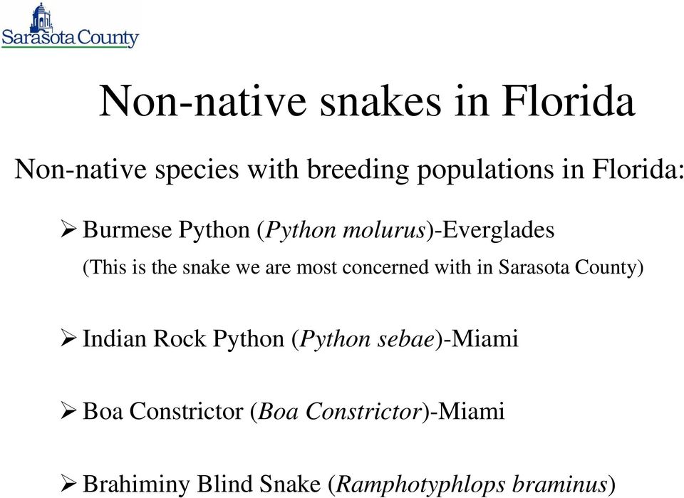 most concerned with in Sarasota County) Indian Rock Python (Python sebae)-miami