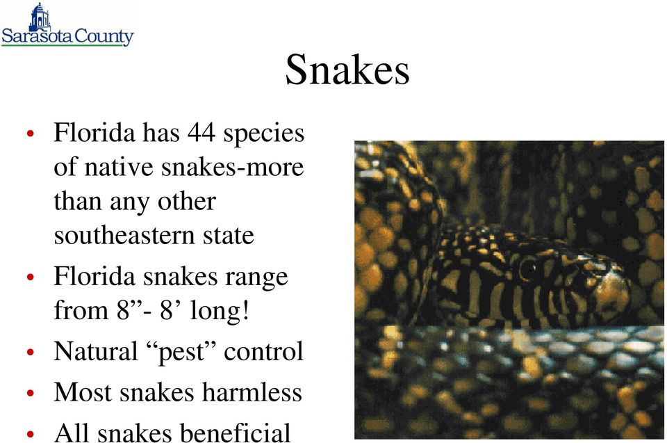 snakes range from 8-8 long!