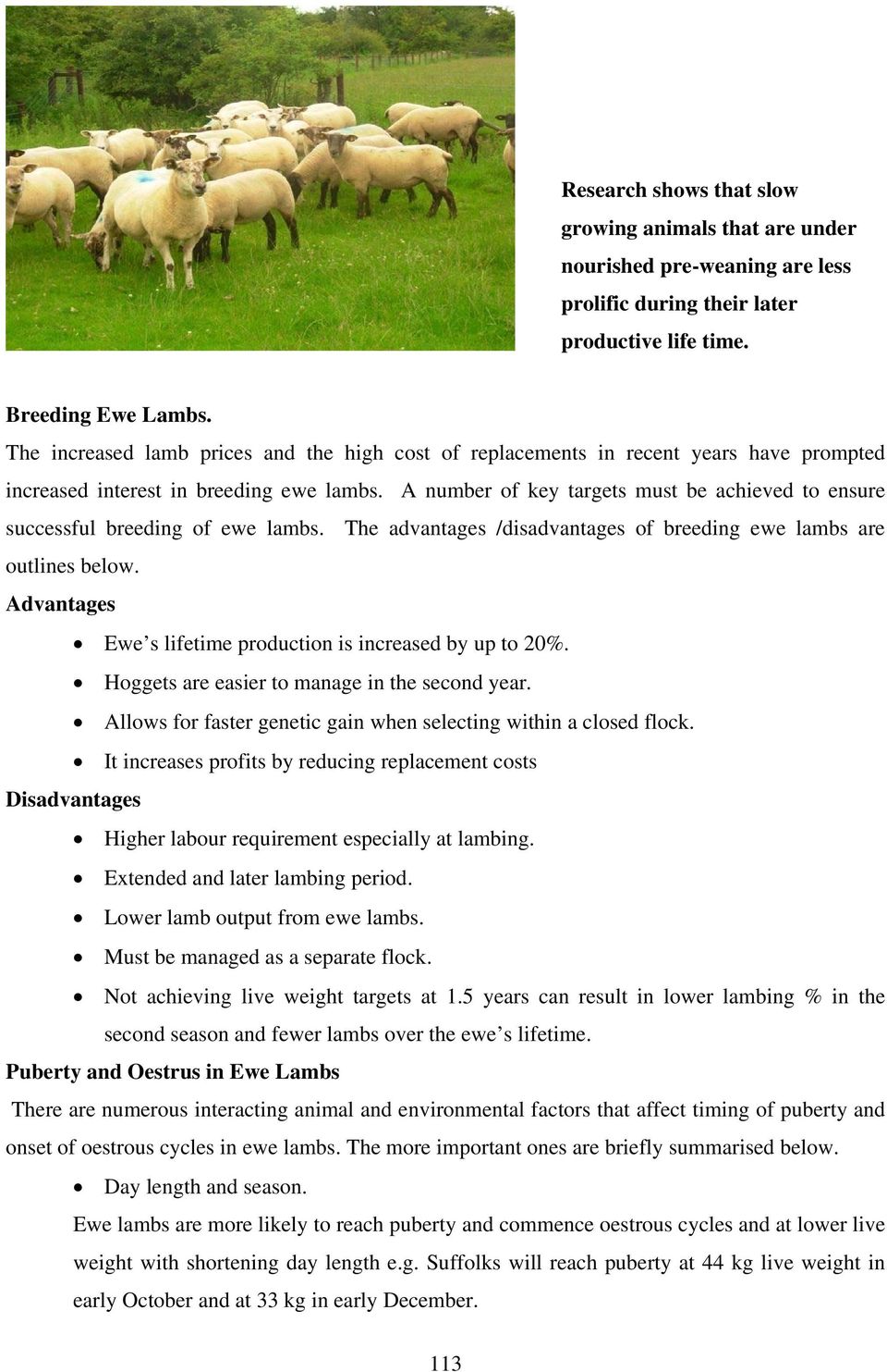 A number of key targets must be achieved to ensure successful breeding of ewe lambs. The advantages /disadvantages of breeding ewe lambs are outlines below.