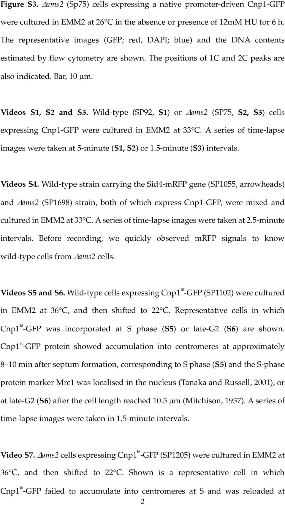Wild-type (SP92, S1) or Δams2 (SP75, S2, S3) cells expressing Cnp1-GFP were cultured in EMM2 at 33 C. A series of time-lapse images were taken at 5-minute (S1, S2) or 1.5-minute (S3) intervals.