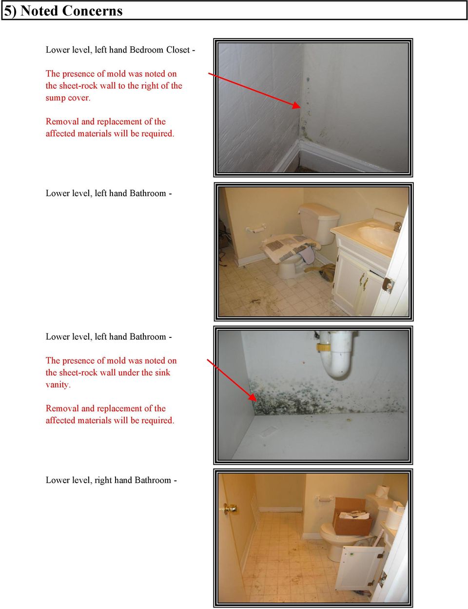 Lower level, left hand Bathroom - Lower level, left hand Bathroom - The presence of mold was noted on the