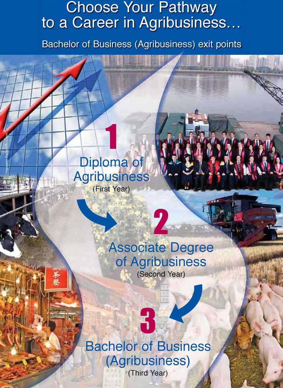com 1 Diploma of Agribusiness (First Year) 2 Associate Degree of