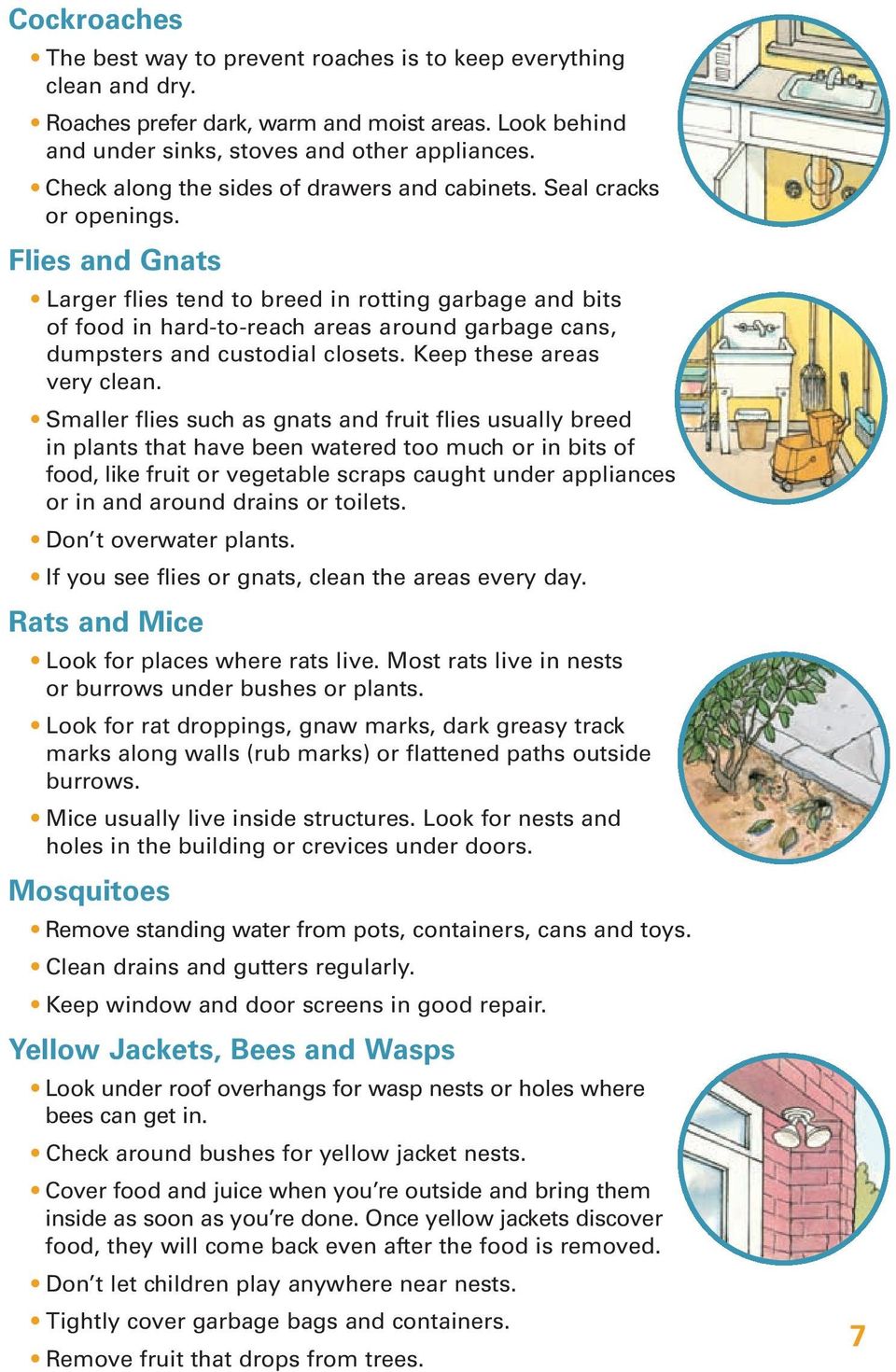 Flies and Gnats Larger flies tend to breed in rotting garbage and bits of food in hard-to-reach areas around garbage cans, dumpsters and custodial closets. Keep these areas very clean.