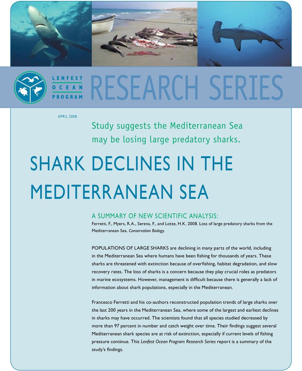 Populations of large sharks are declining in many parts of the world, including in the Mediterranean where humans have been fishing for thousands of years.