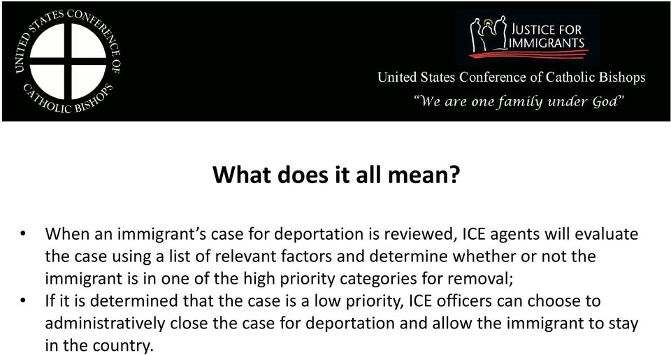 relevant factors and determine whether or not the immigrant is in one of the high priority categories