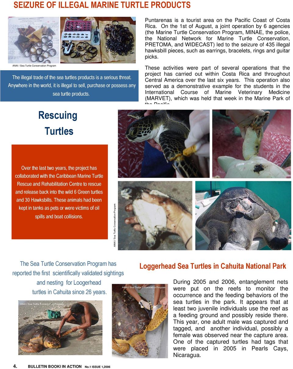 the seizure of 435 illegal hawksbill pieces, such as earrings, bracelets, rings and guitar picks.