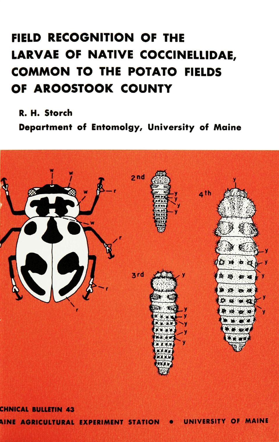 Storch Department of Entomolgy, University of Maine