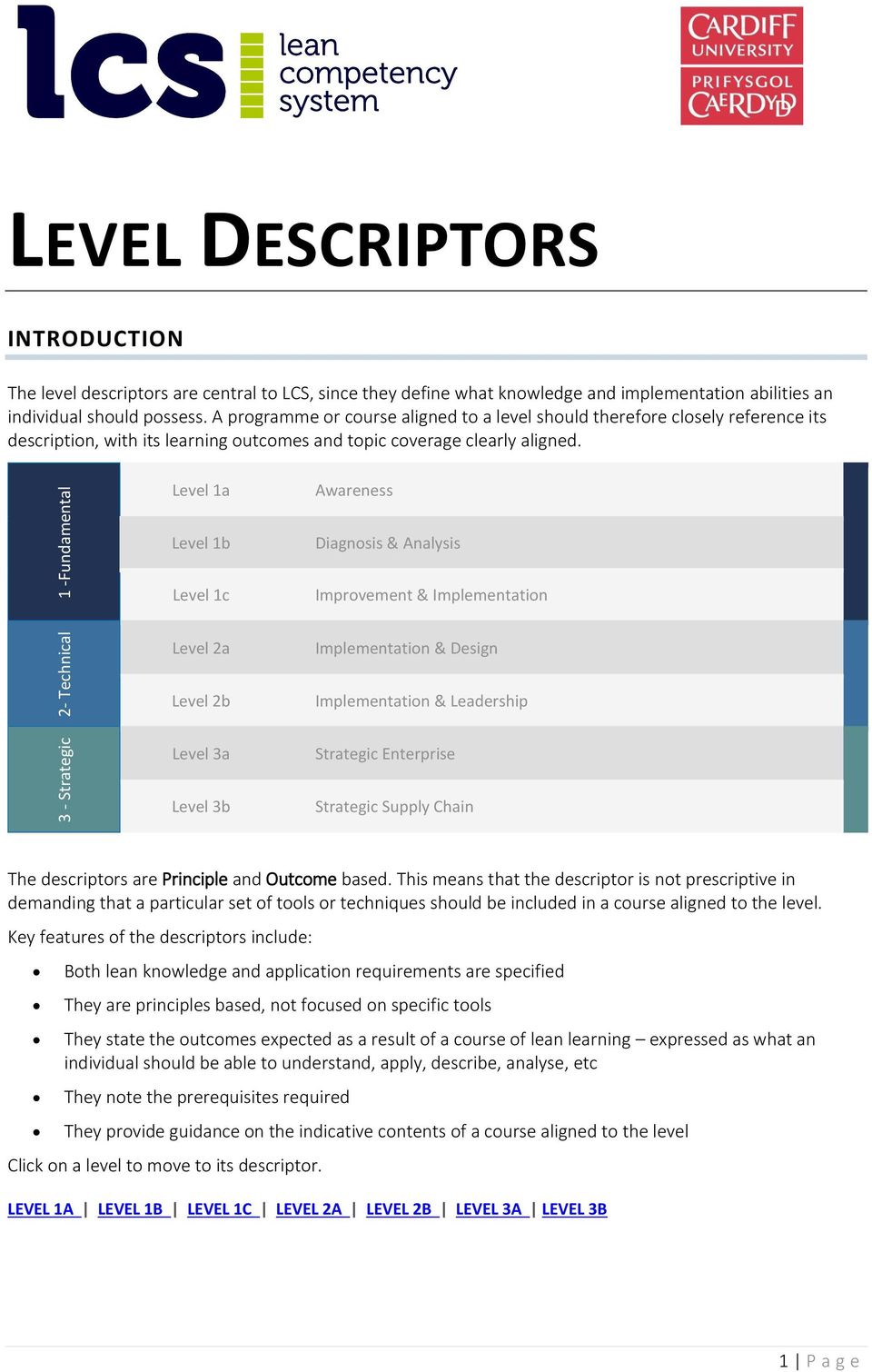 1 -Fundamental Level 1a Level 1b Level 1c Awareness Diagnosis & Analysis Improvement & Implementation 2- Technical Level 2a Level 2b Implementation & Design Implementation & Leadership 3 - Strategic