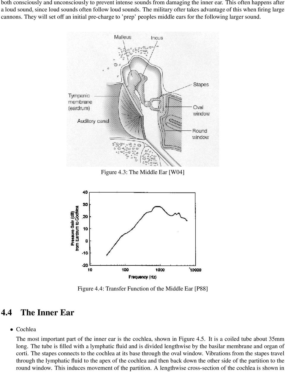 3: The Middle Ear [W04] Figure 4.4: Transfer Function of the Middle Ear [P88] 4.4 The Inner Ear Cochlea The most important part of the inner ear is the cochlea, shown in Figure 4.5.