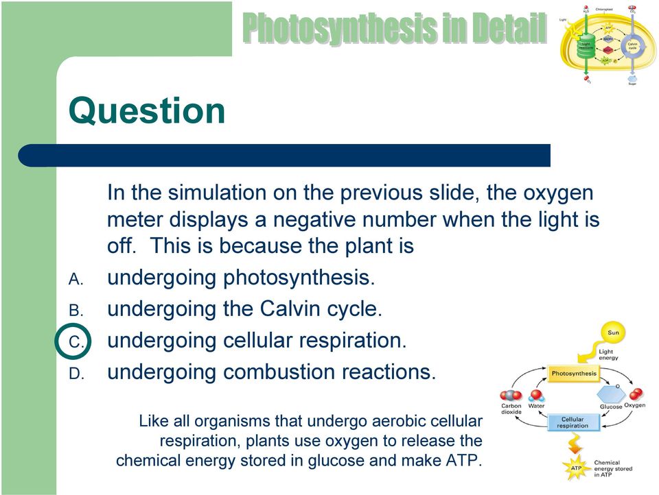 C. undergoing cellular respiration. D. undergoing combustion reactions.