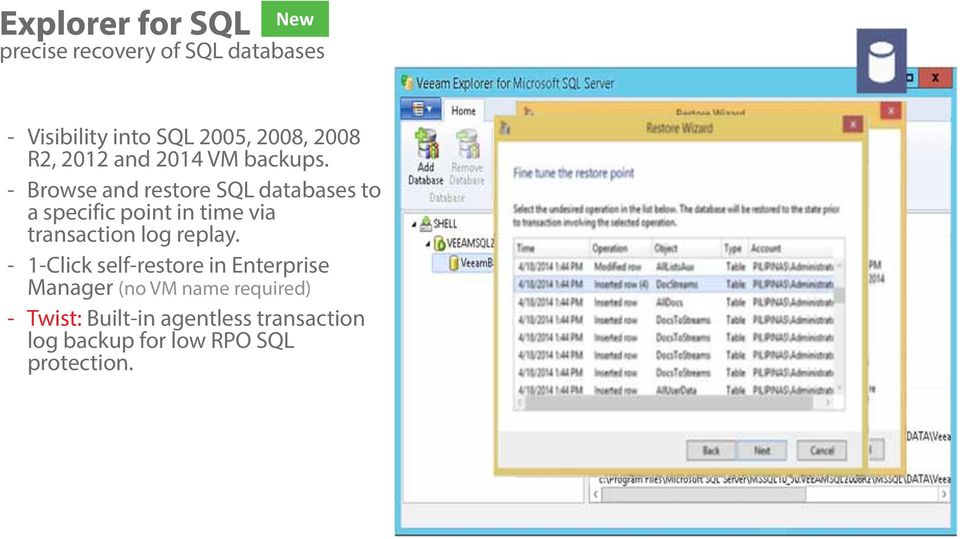 - Browse and restore SQL databases to a specific point in time via transaction log replay.
