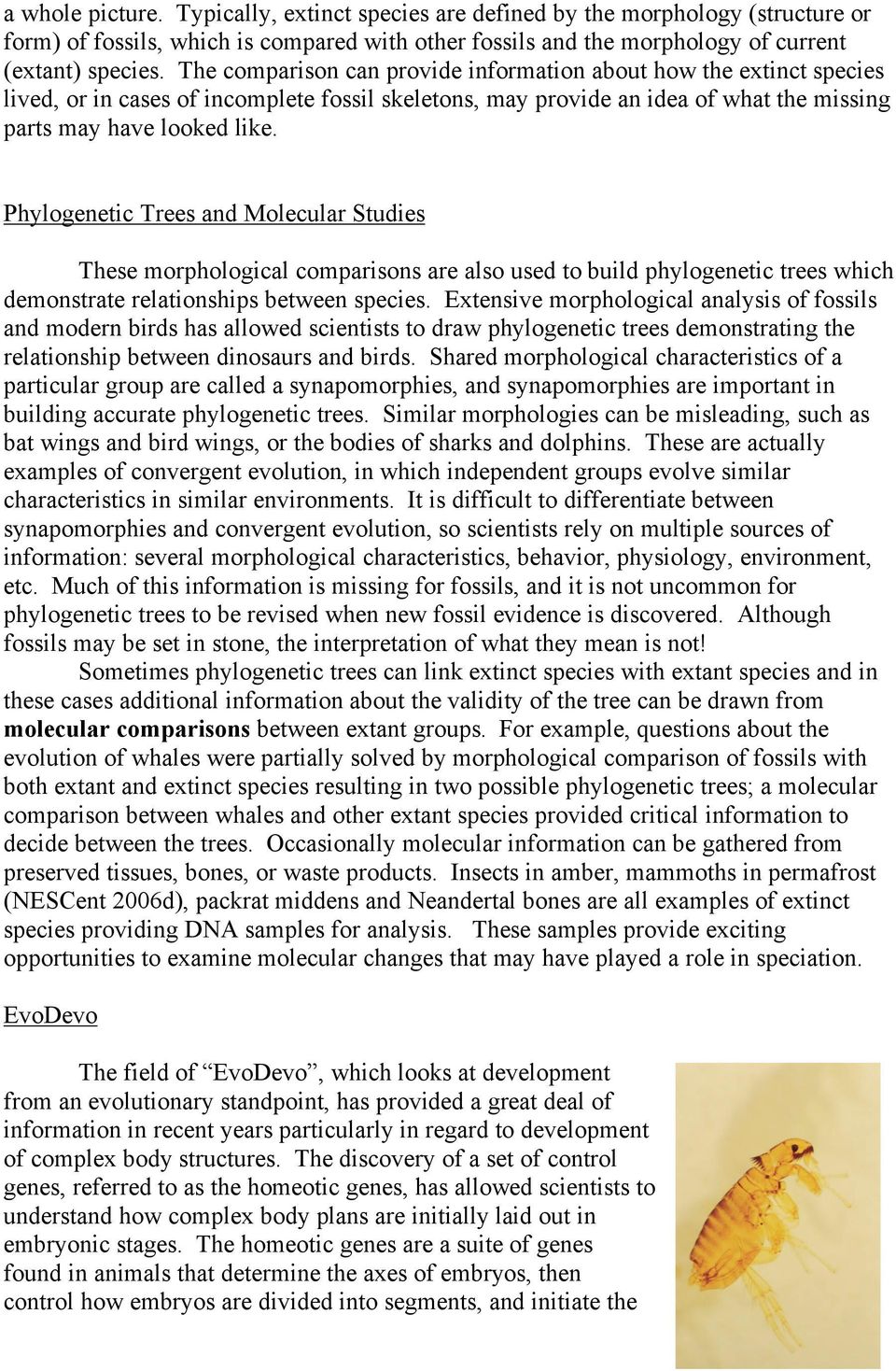 Phylogenetic Trees and Molecular Studies These morphological comparisons are also used to build phylogenetic trees which demonstrate relationships between species.