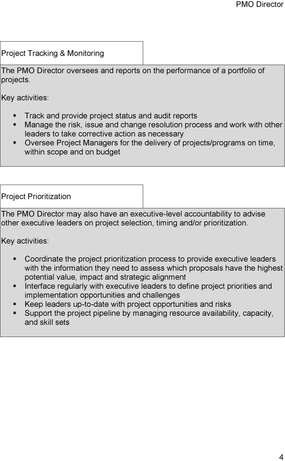 Project Managers for the delivery of projects/programs on time, within scope and on budget Project Prioritization The PMO Director may also have an executive-level accountability to advise other