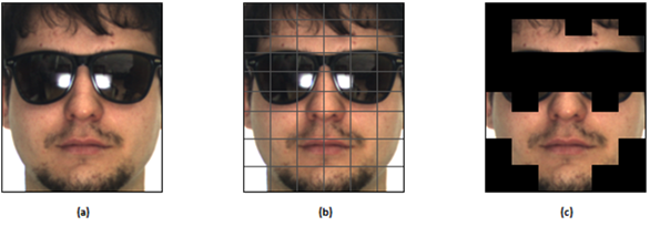 12 Chapter 3. Method Figure 3.1: (a) an occluded facial image. (b) Image division into 6 parts. (c) Image division into 54 smaller parts (d) Image division into 486 parts. Figure 3.2: (a) an occluded facial image.