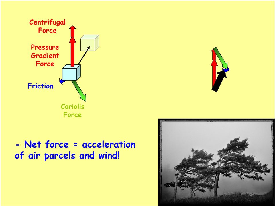 Coriolis Force - Net force =