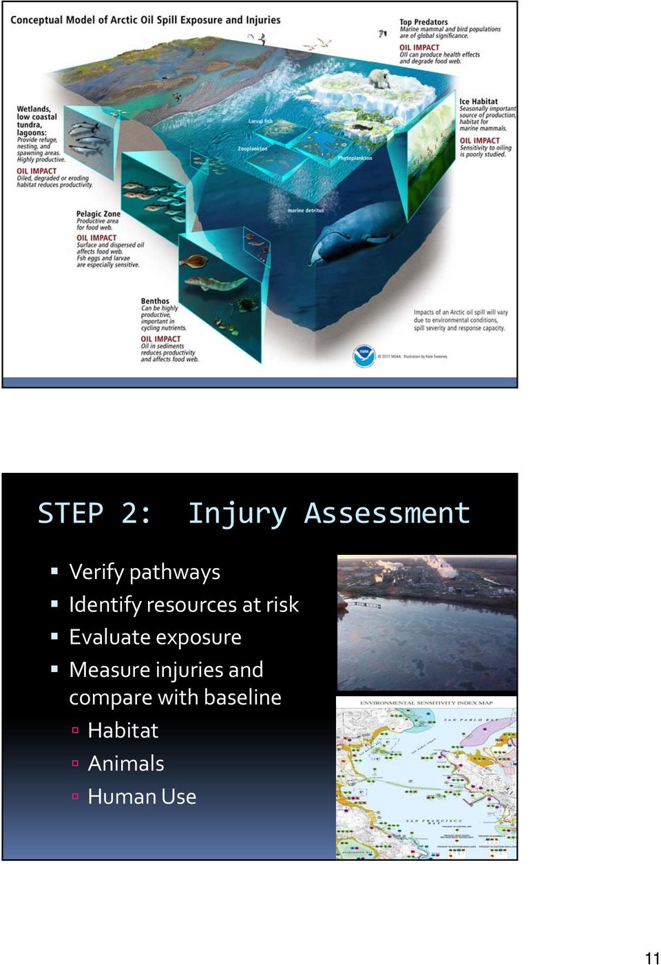 Evaluate exposure Measure injuries and