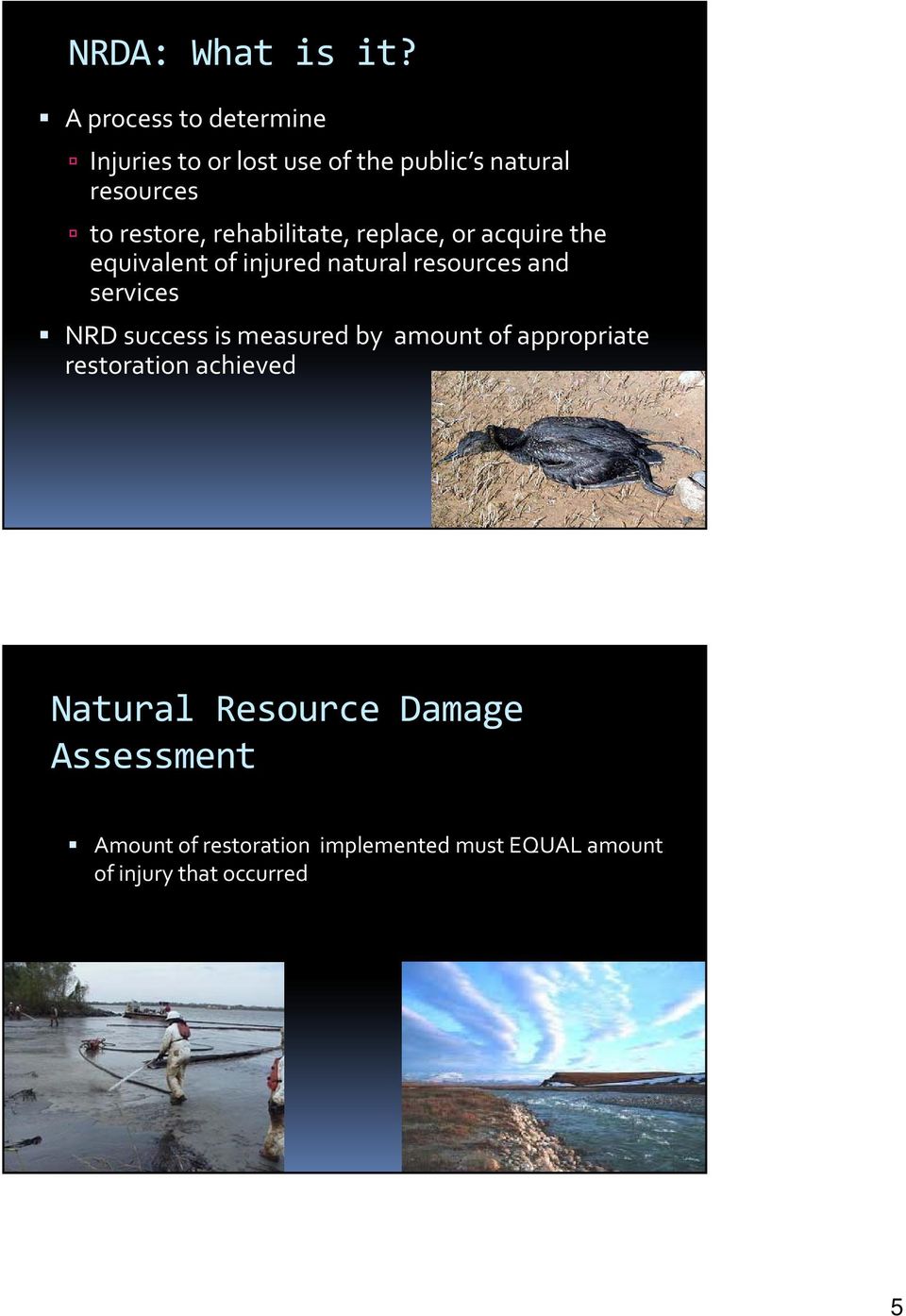 rehabilitate, replace, or acquire the equivalent of injured natural resources and services NRD