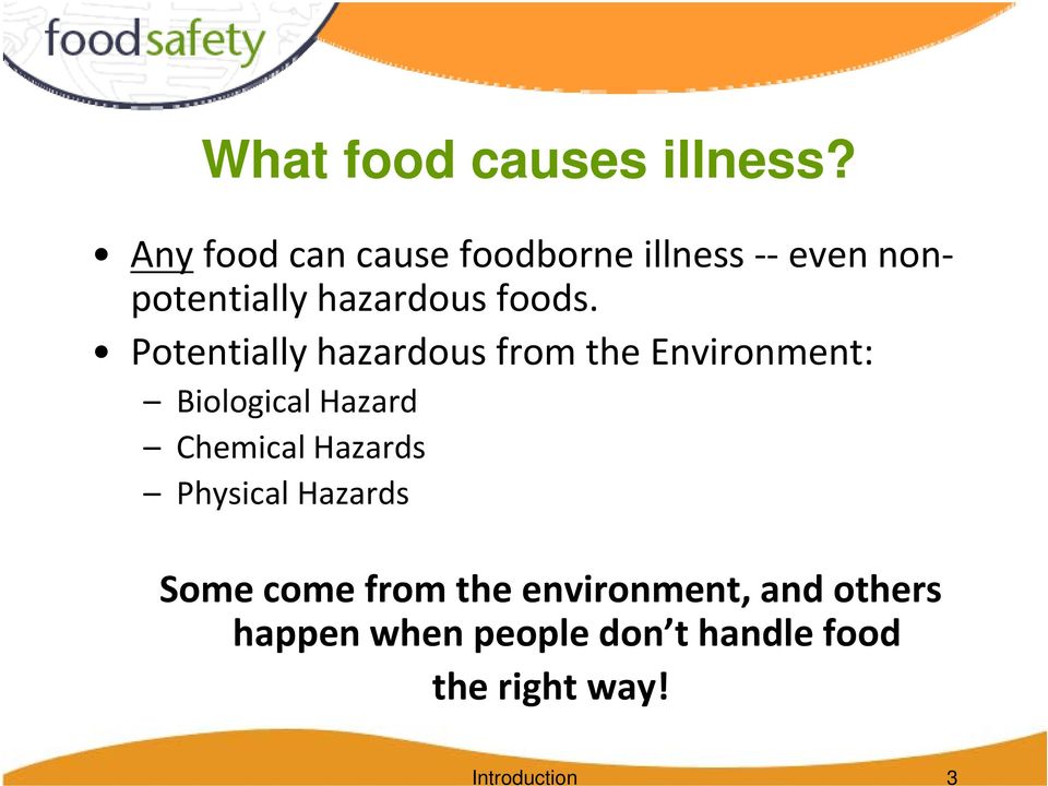 physical hazard in food