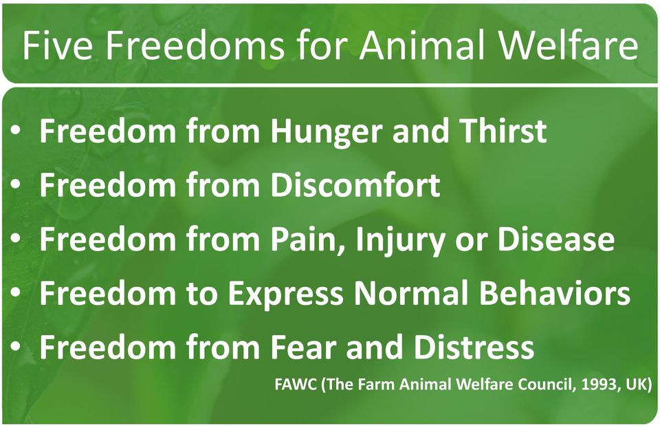 Animal Welfare Farm Certification system in Korea - PDF Free Download