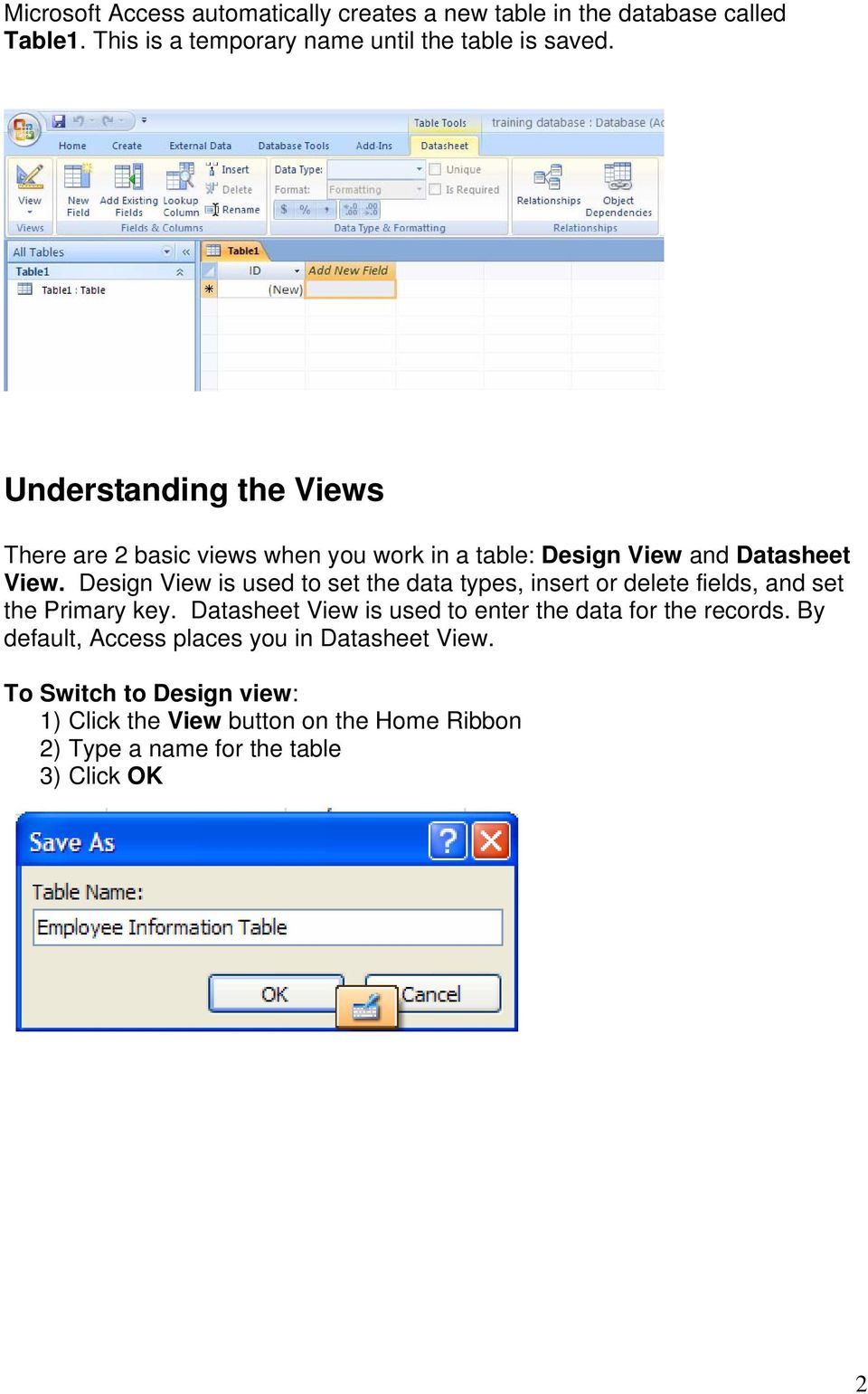 Design View is used to set the data types, insert or delete fields, and set the Primary key.