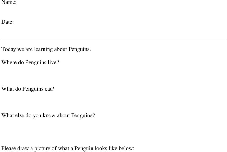 What do Penguins eat?