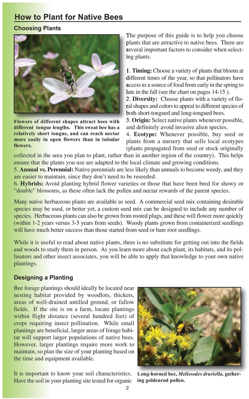 The purpose of this guide is to help you choose plants that are attractive to native bees. There are several important factors to consider when selecting plants. 1.