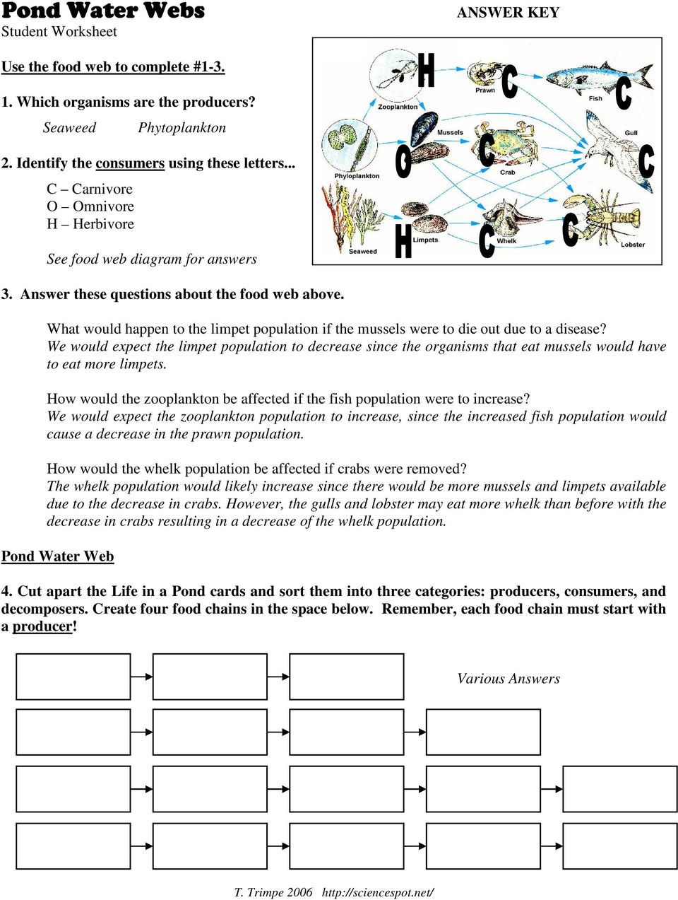 Pond Water Web Lesson Plan - PDF Free Download Within Food Chain Worksheet Answers